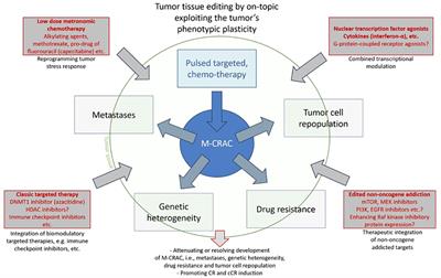 Frontiers in Oncology | Cancer Molecular Targets and Therapeutics